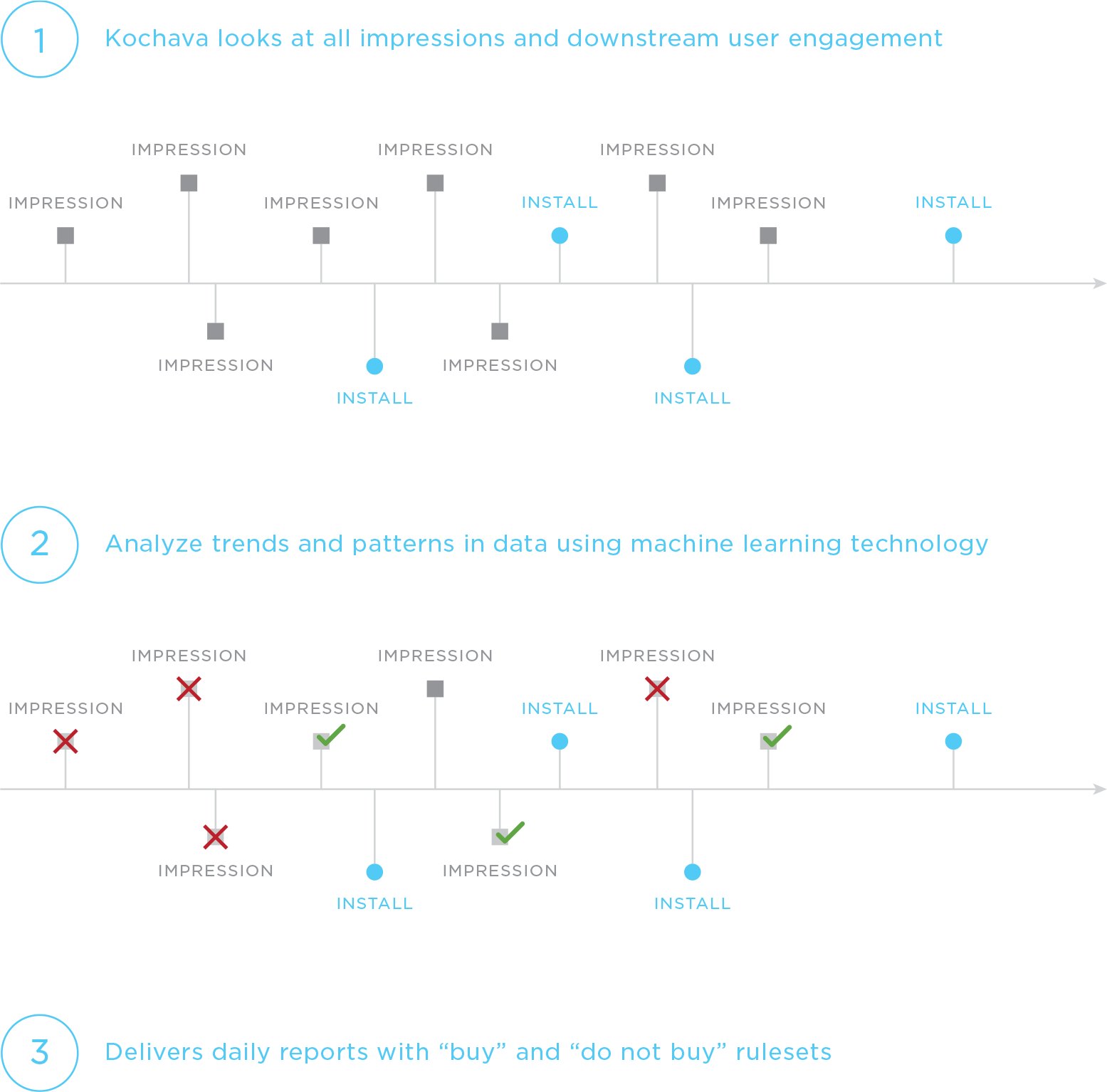 Insights Report