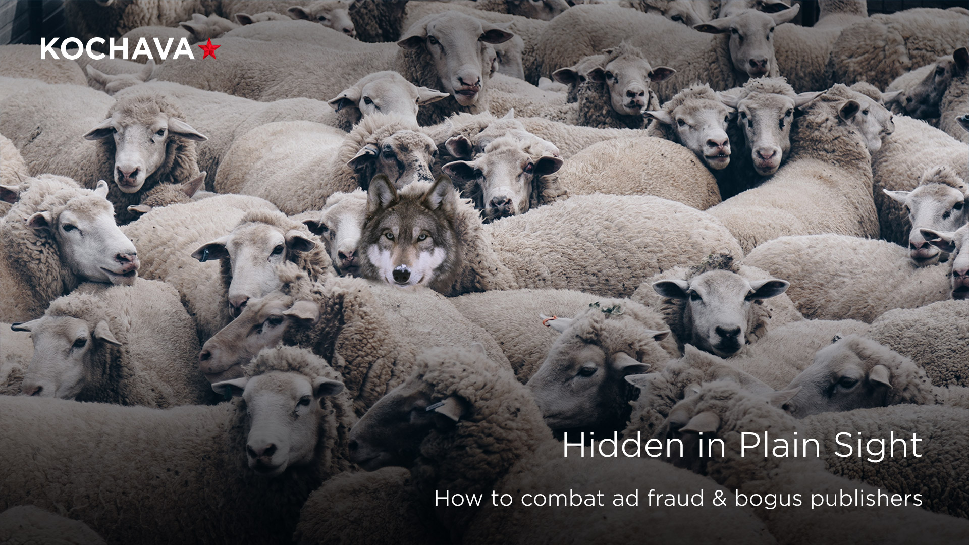 Combatting ad fraud
