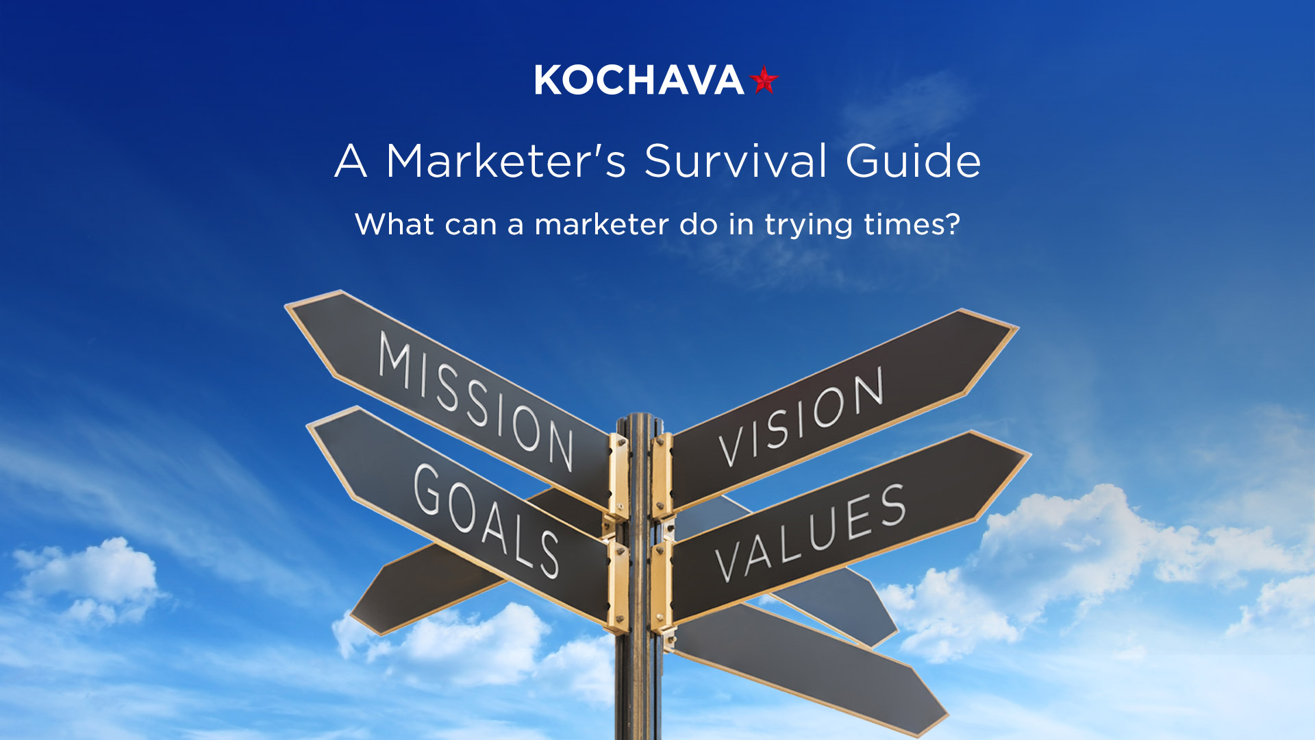 Marketers survival guide v