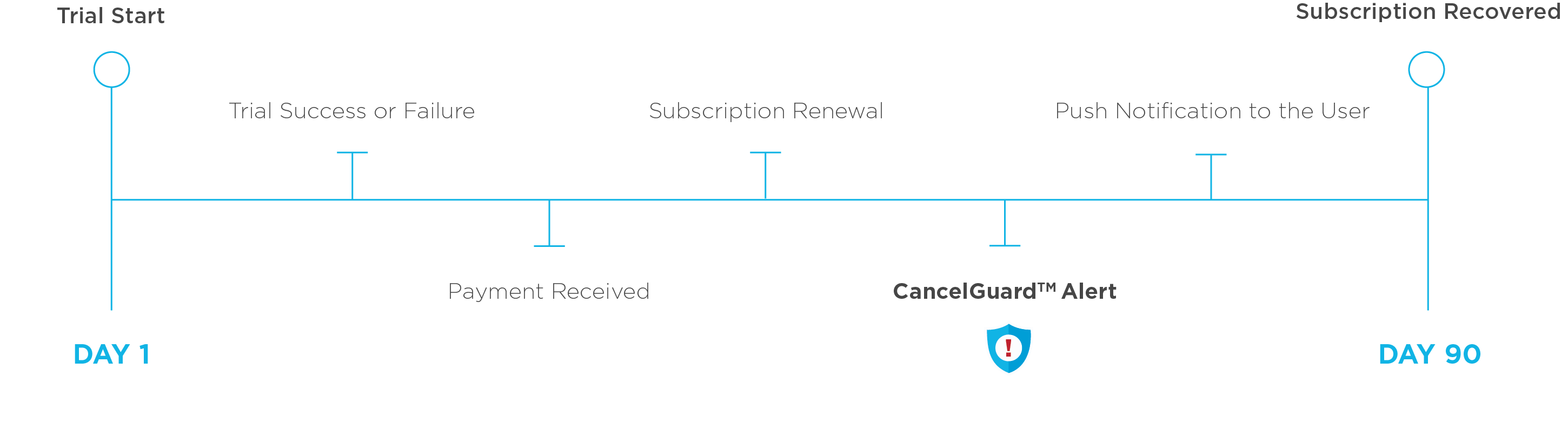 Subscription timeline
