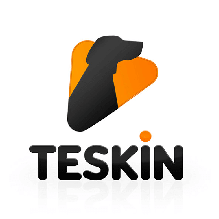 Teskin Logo